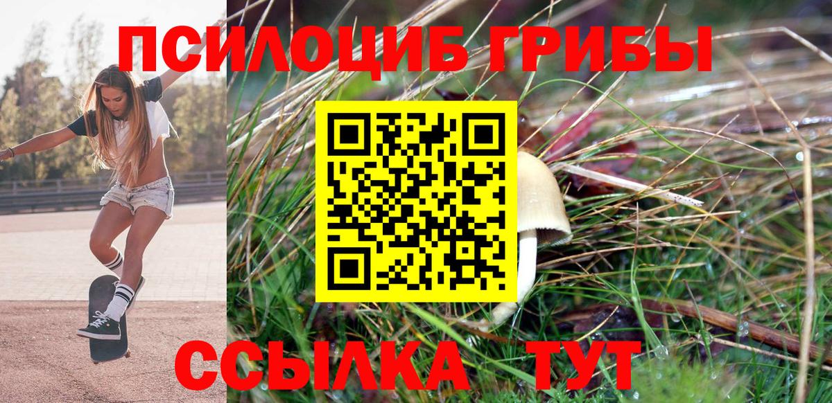 Галлюциногенные грибы Cubensis  Галлюциногенные грибы мицелий  Вход с VPN  Лесосибирск 